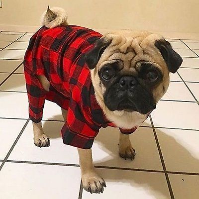 Buffalo Plaid Dog Pajamas