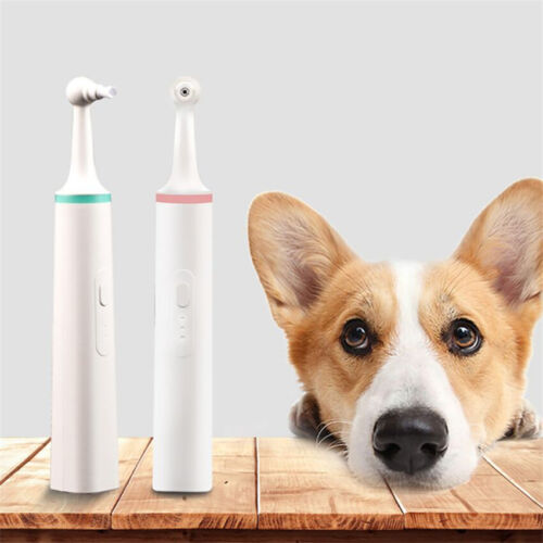 Can i use electric toothbrush on dog