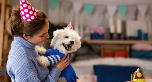 Dressing Your Dog For Birthday
