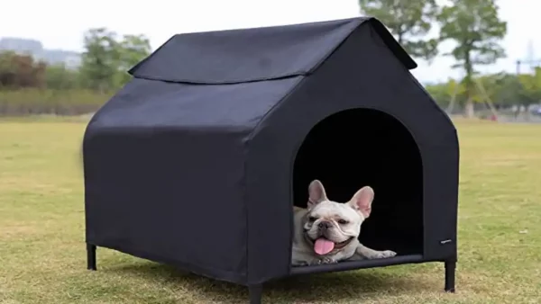 How to heat a dog house without electricity