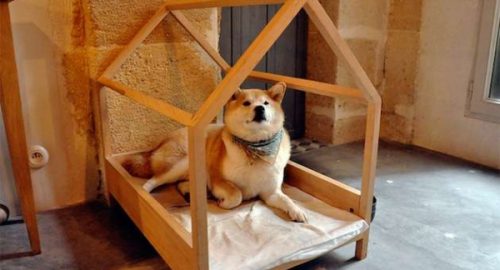 How to make a toy dog house