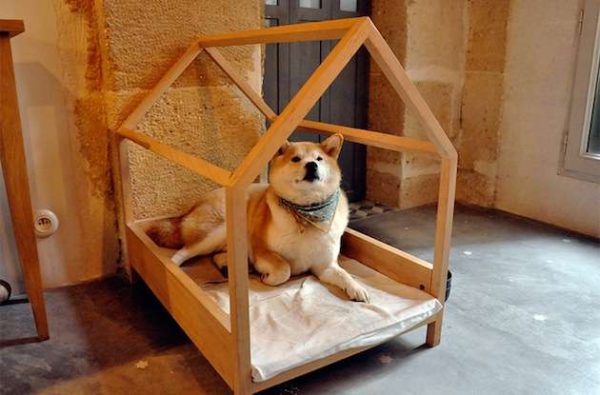 How to make a toy dog house