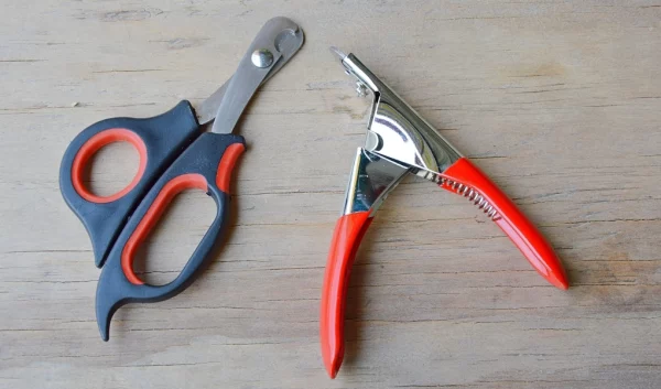 How to sharpen dog nail clippers