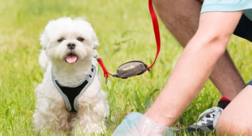 Poop Bag Holder With Dog's Leash