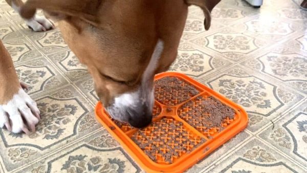 What food to put on dog lick mat
