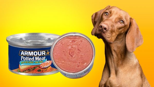 Is Potted Meat Good For Dogs