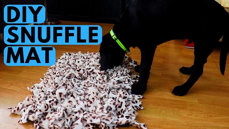 How to Make a Snuffle Mat for Your Dog