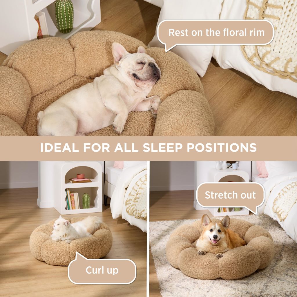 How do I choose a dog bed for my dog?