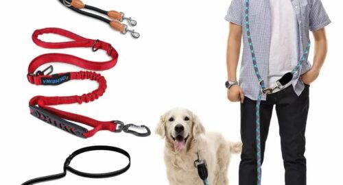 Are nylon dog leashes good?