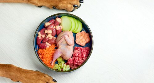 What are the rules for raw dog food