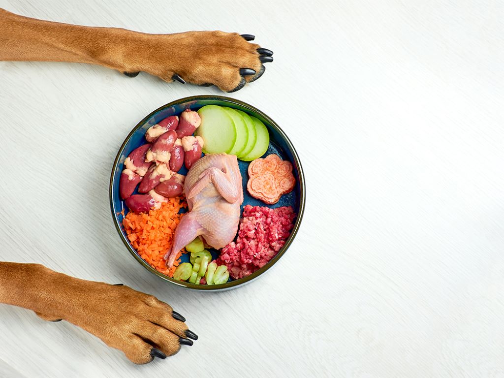 What are the rules for raw dog food