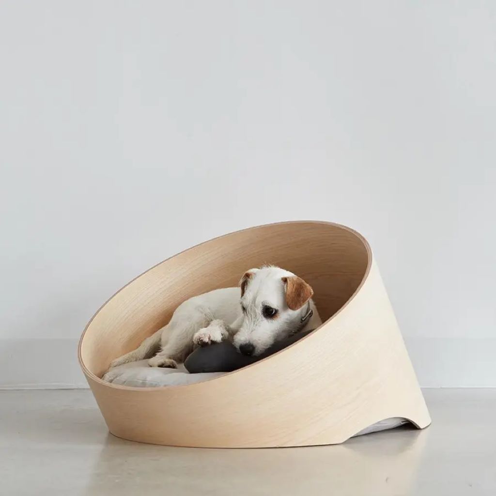 What type of bed material is best for dogs