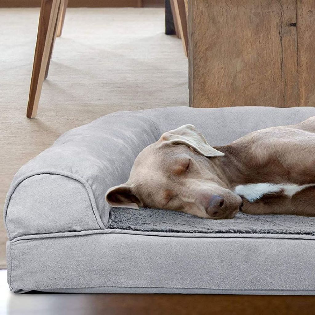 What is the best dog bed in hot weather