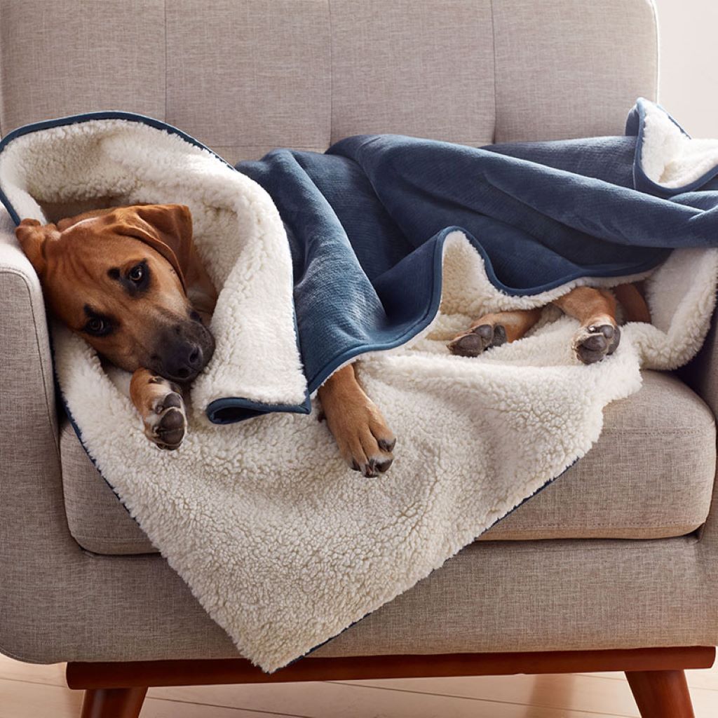 Are Sherpa blankets safe for dogs