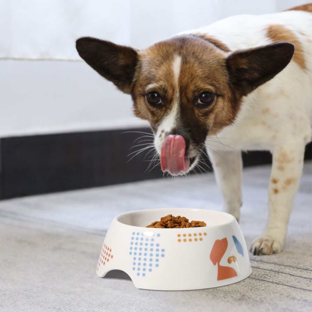 Are ceramic bowls safe for pets