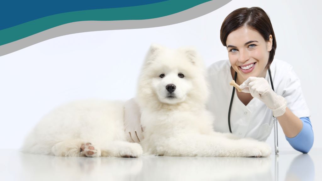 What is a veterinary prescription diet