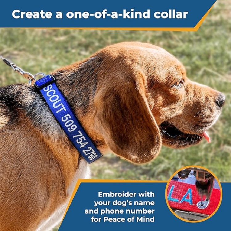 How to get dog tag on collar