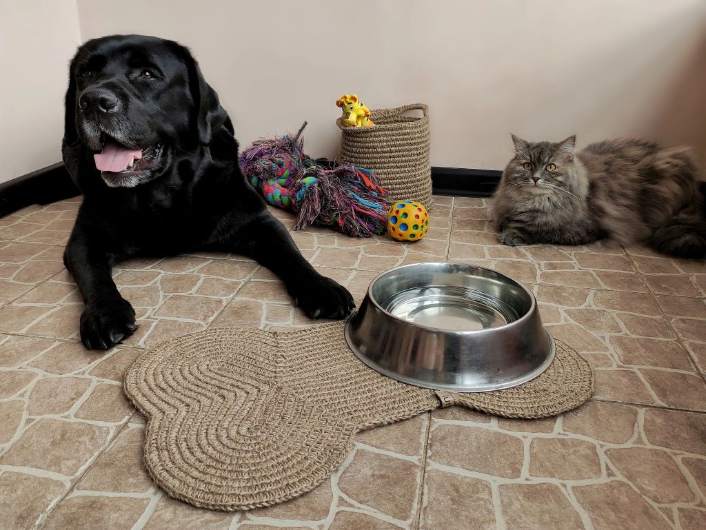 What is a food mat for dogs