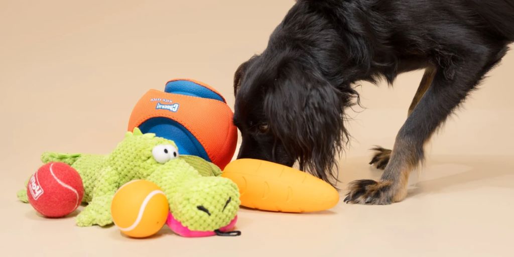 What teething toys are best for puppies