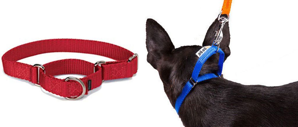 What collar tightens when the pup pulls back