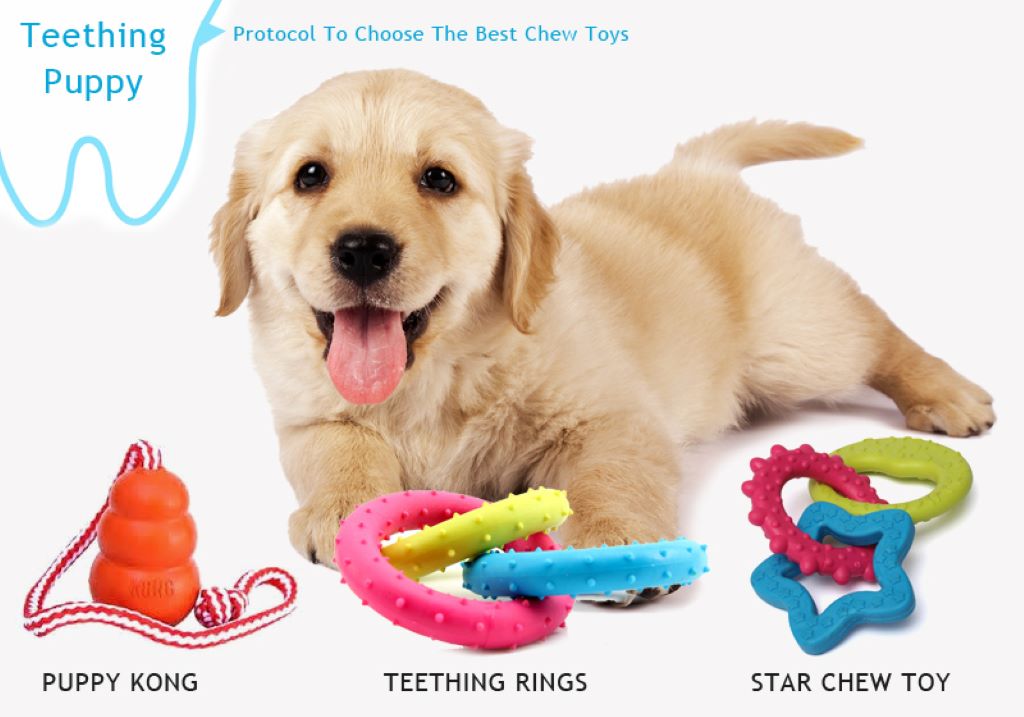 How do I choose chew toys