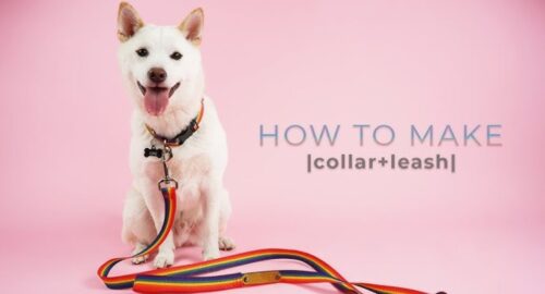 What is the best fabric to make dog collars out of