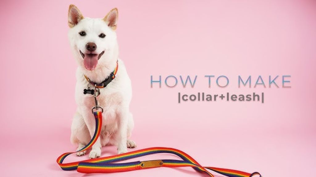 What is the best fabric to make dog collars out of