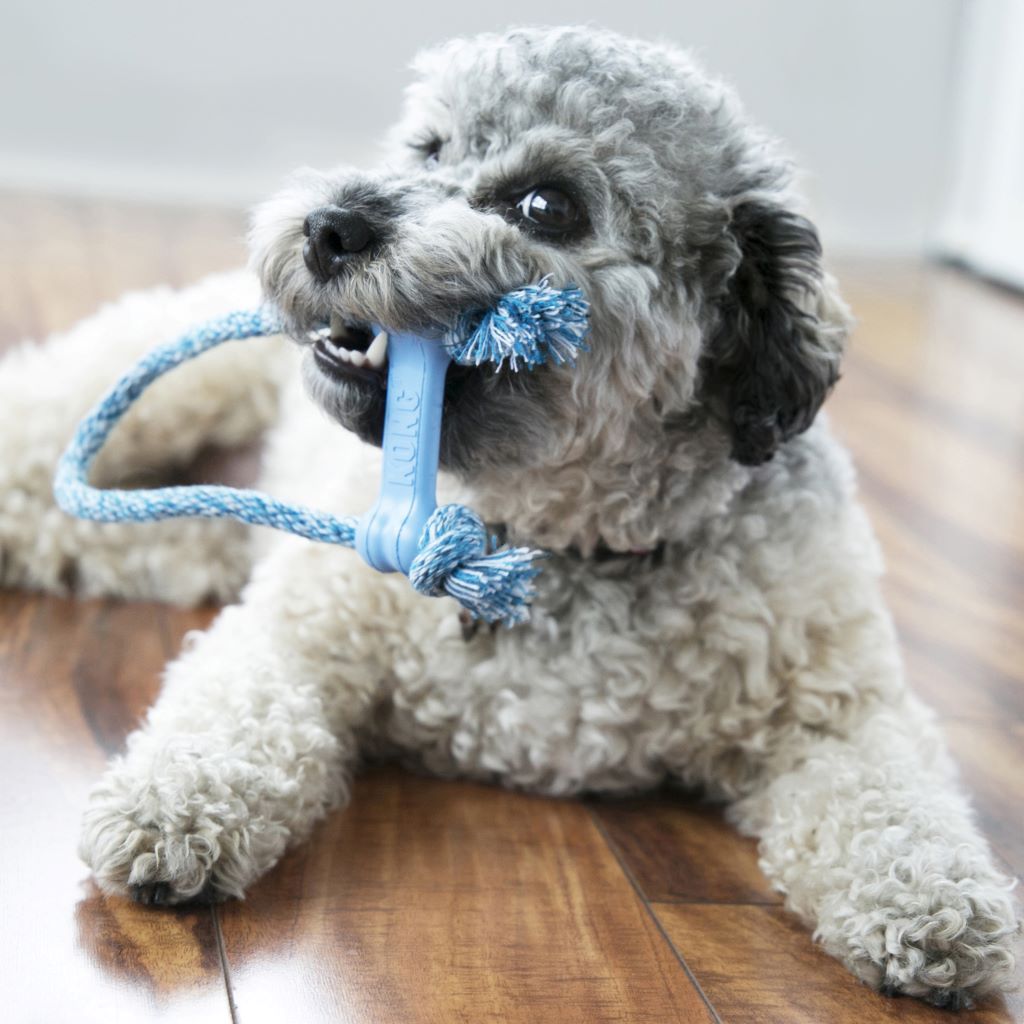 What natural chews can a puppy have