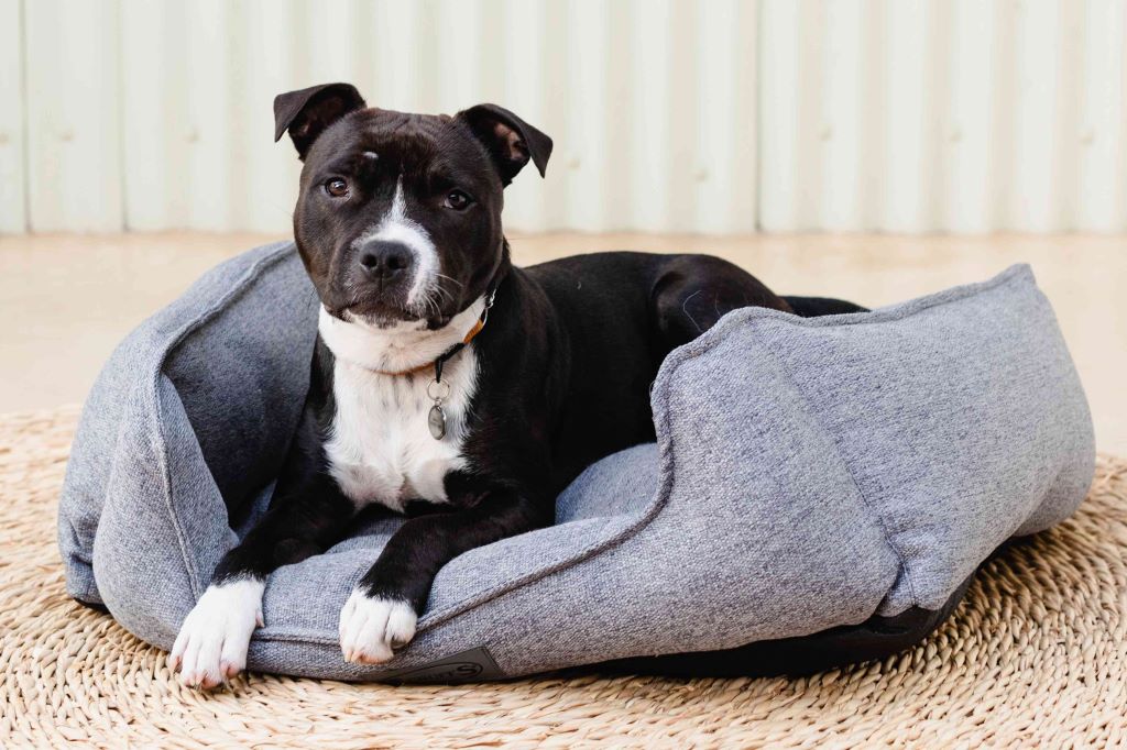 How do you wash dog bedding without ruining the washing machine