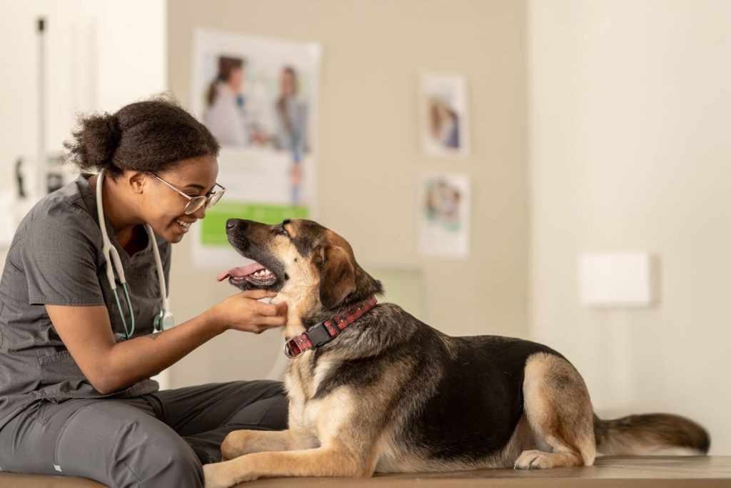 What is a nutrition veterinarian