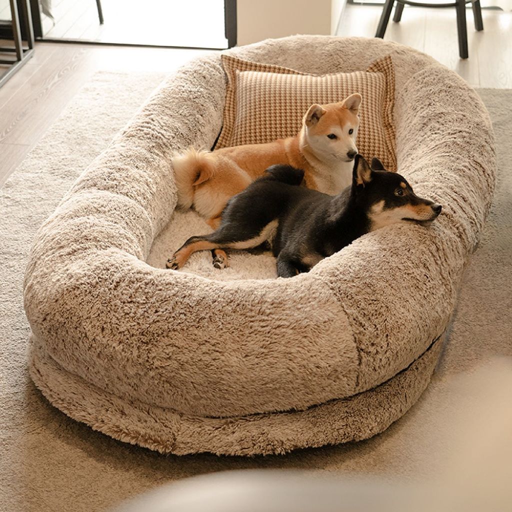 Best dog beds for cold weather pets at home