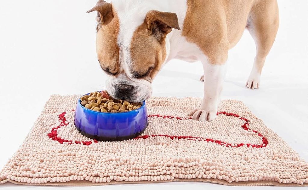 Creative dog bowl mat ideas diy