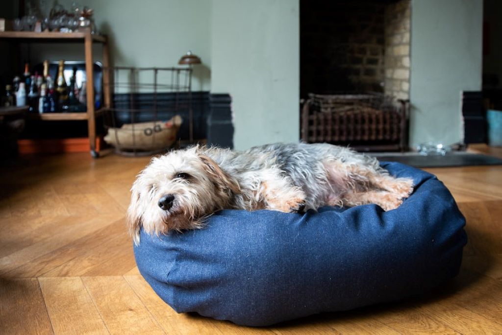 How to Choose Dog Bedding To Keep Dogs Warm