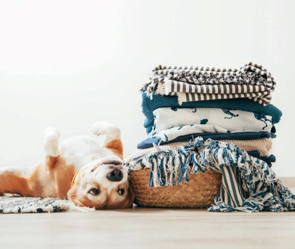 Can I wash dog blankets in the washing machine