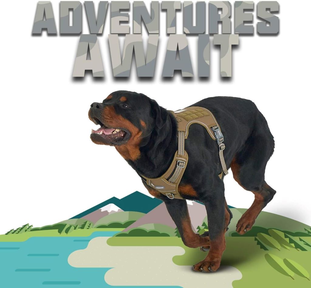 Reflective, adjustable no-pull dog harness by Auroth for tactical, military, and everyday use.