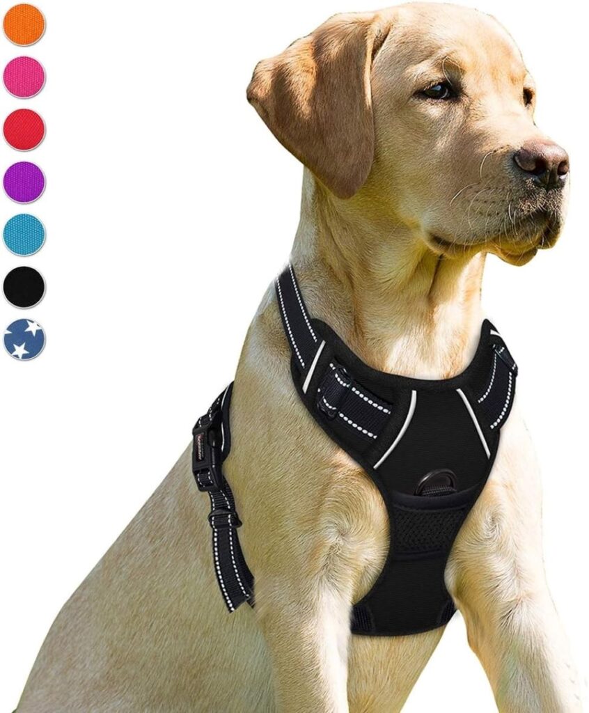 Dog wearing BARKBAY heavy-duty harness for secure and comfortable walking.