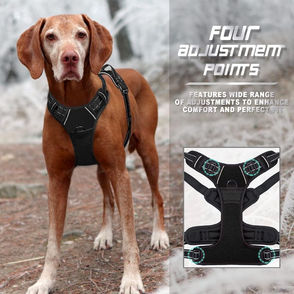 Close-up of BARKBAY front-clip harness showing durable design and reflective material.