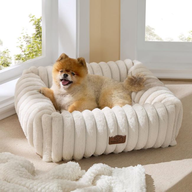 Bedsure cream-colored rectangular dog bed with soft fleece and corduroy texture, perfect for small to medium dogs.
