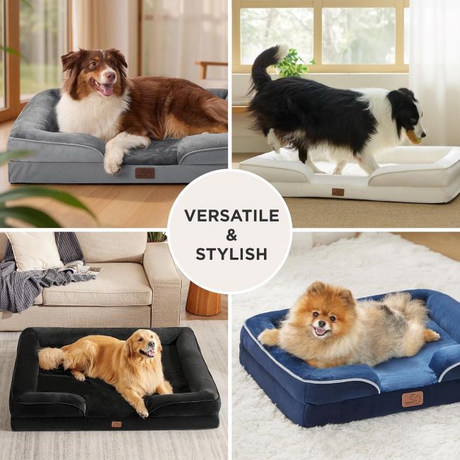 Comfortable Bedsure pet sofa for medium dogs and cats, featuring removable washable cover and nonskid base.