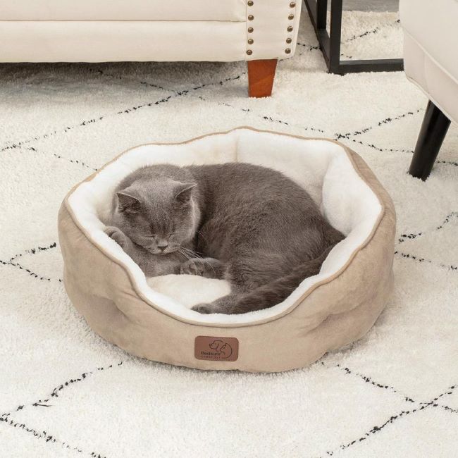Comfortable 20-inch Bedsure round bed for small dogs and cats, indoor use