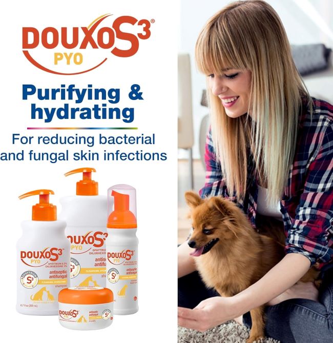 Review of Douxo S3 Pyo Shampoo with Chlorhexidine and Ophytrium for Pets