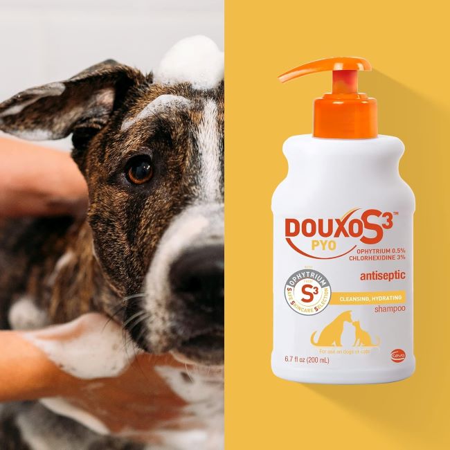 Dog and Cat Shampoo for Bacterial and Yeast Skin Infections – Douxo S3 Pyo 200mL