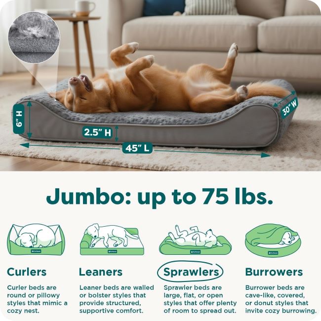 Comfortable orthopedic dog bed for big dogs up to 75 lbs with removable washable cover