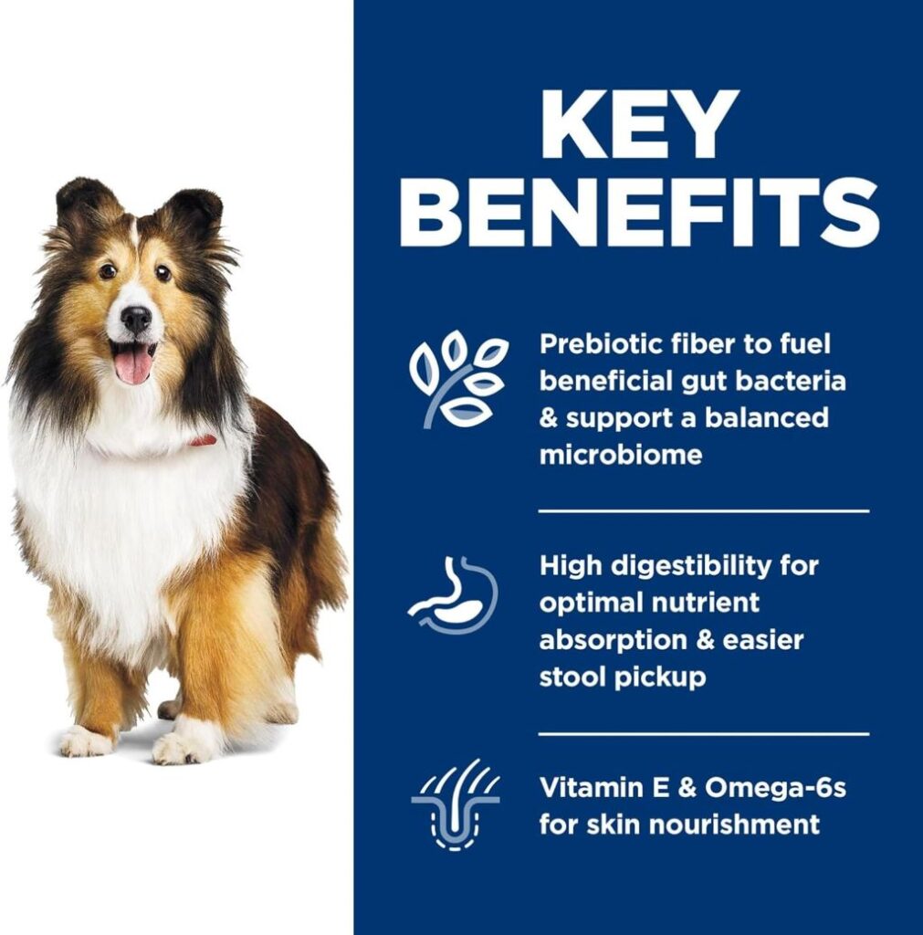 Hill's Science Diet Adult Dry Dog Food Supporting Skin and Digestive Health