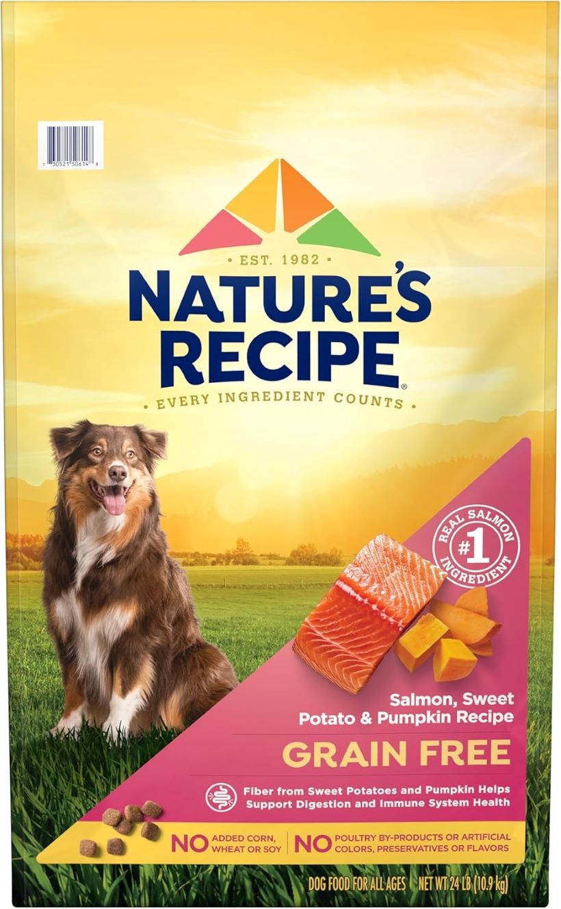 Bag of Nature’s Recipe Grain-Free Salmon & Sweet Potato Dog Food
