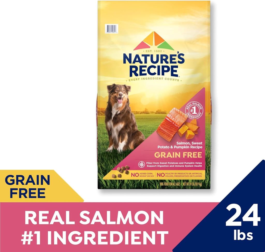 Close-up of Nature’s Recipe Grain-Free Dry Dog Food kibble