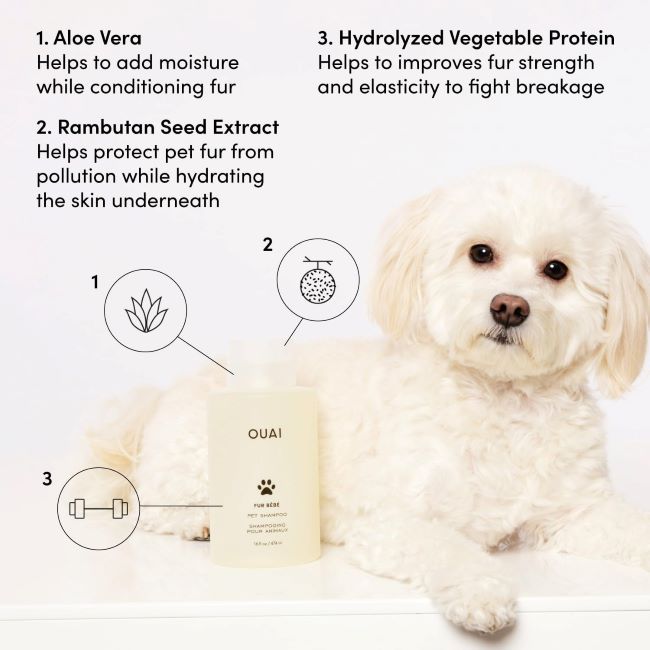 Pet shampoo by OUAI Fur Bébé for cleansing and moisturizing dogs’ fur.