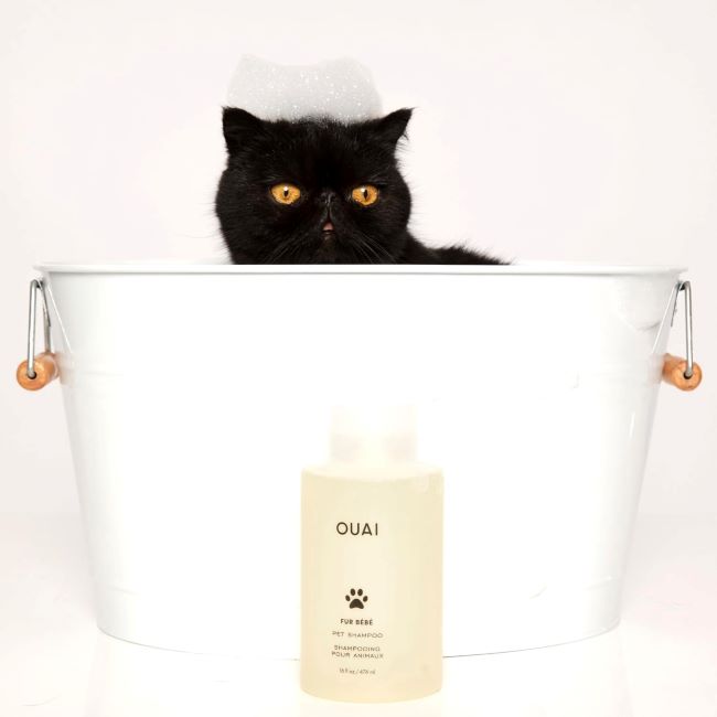 Hydrating and shine-boosting dog shampoo from OUAI Fur Bébé Mercer Street.