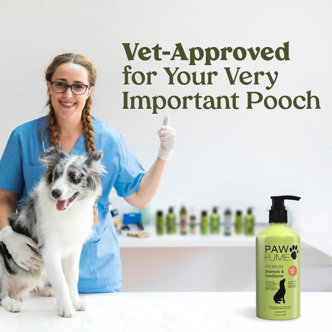 Salon-quality dog grooming products featuring PAWFUME probiotic shampoo and conditioner