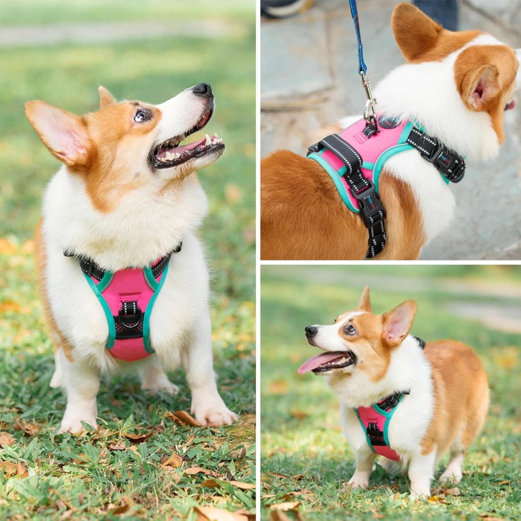 Durable and adjustable PHOEPET dog harness with reflective safety features in pink.